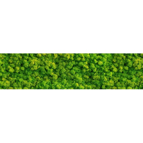 Green Moss Glass 15x60