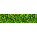 Green Moss Glass 15x60